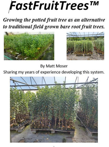 FastFruitTrees by Matt Moser